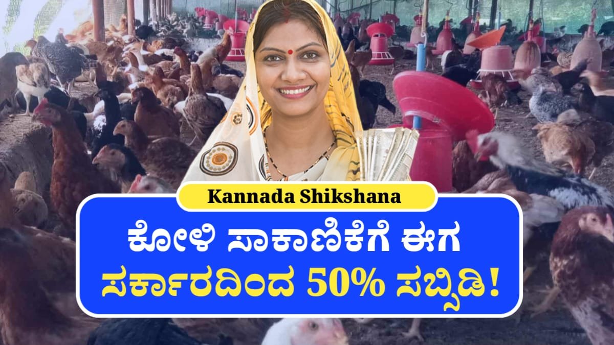 Poultry Farming Scheme