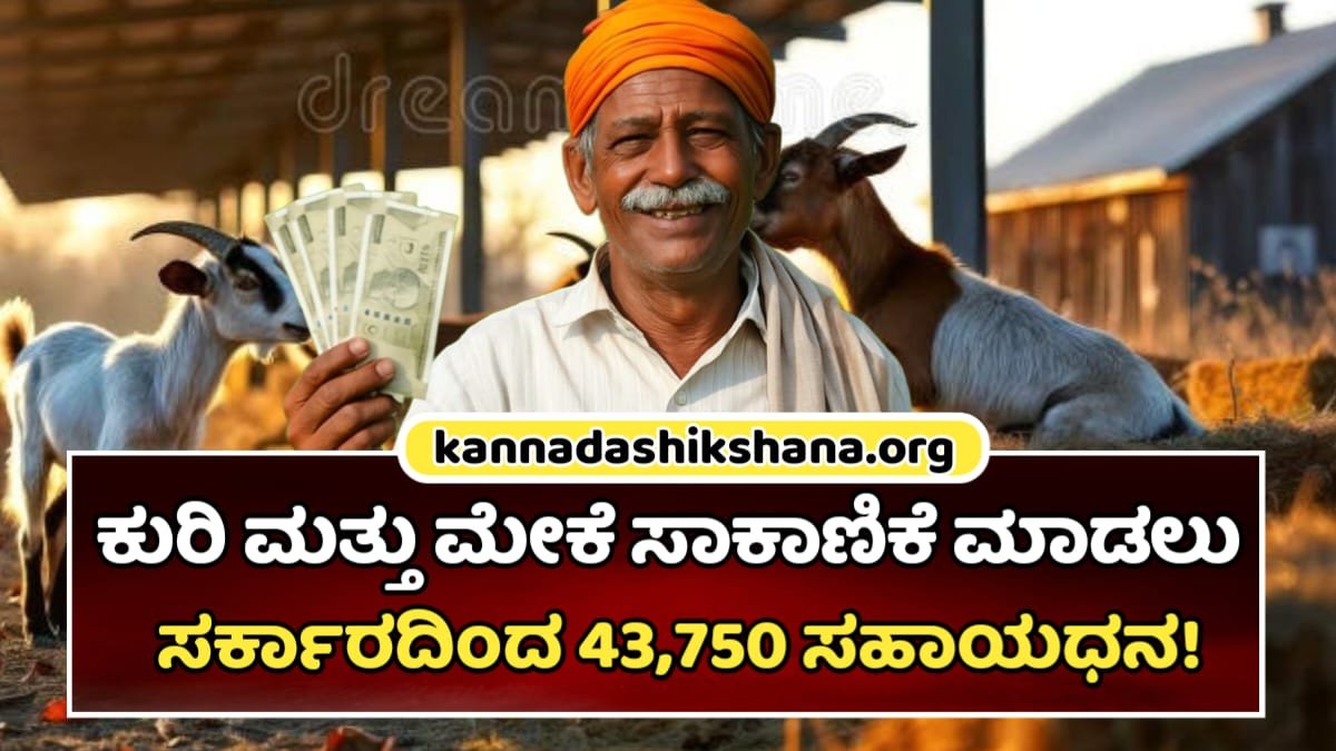 Amruta Swabhimani Kurigahi Yojane